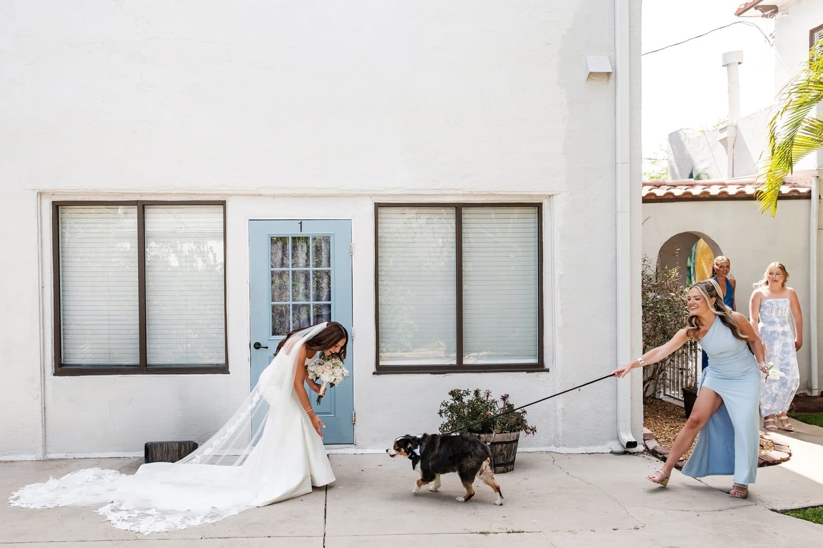 A Miami bride in a courtyard with bridesmaids and a dog on a leash